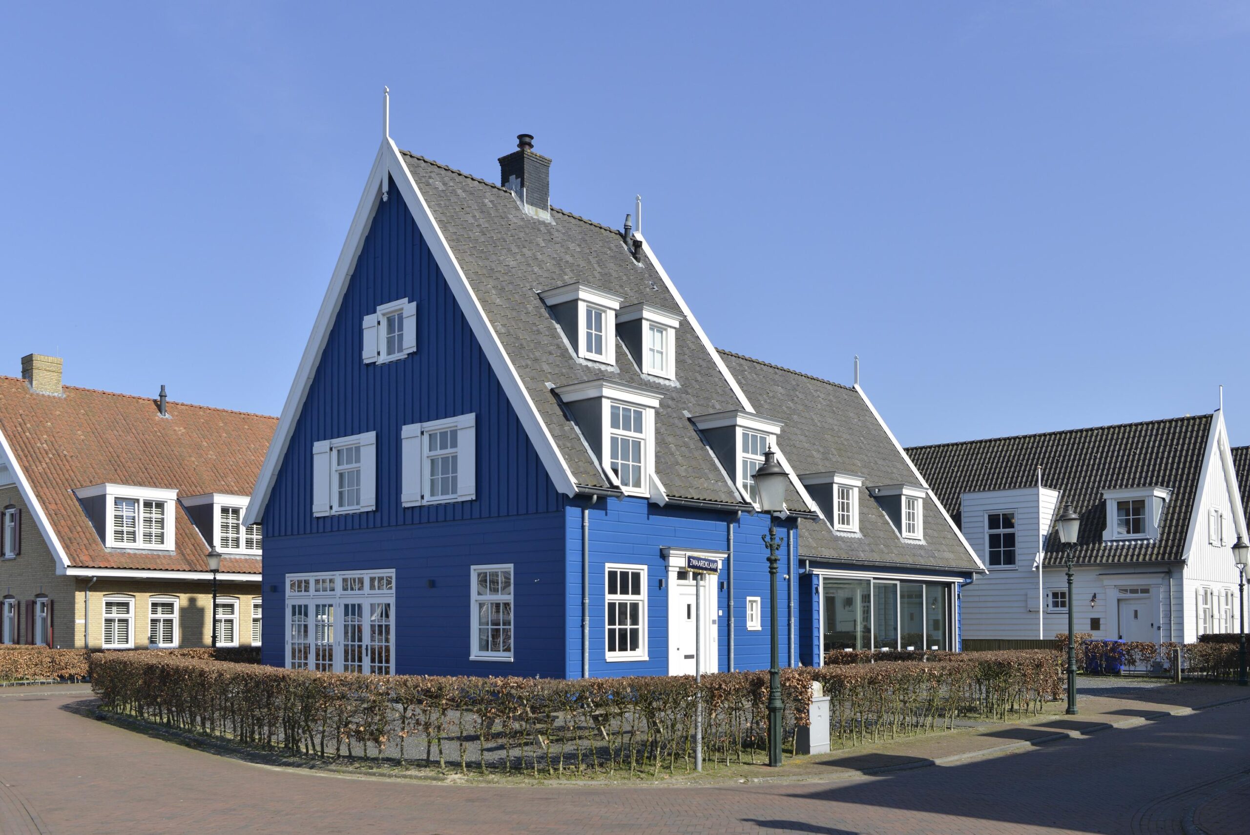 Large Image