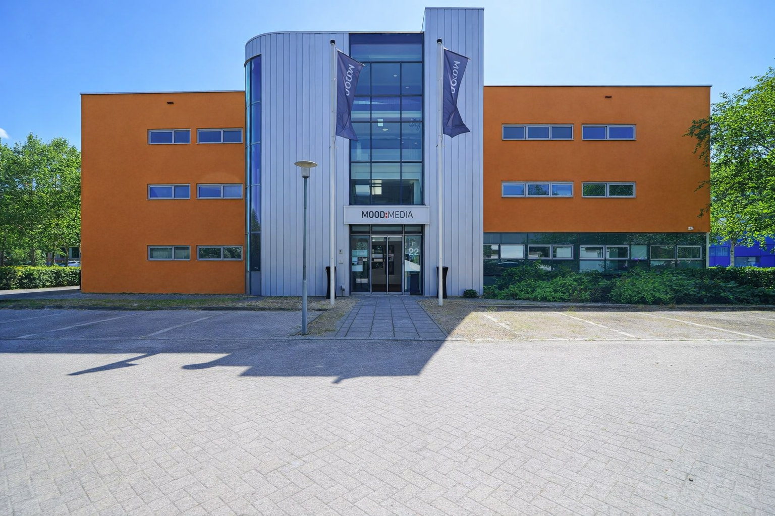 Large Image
